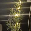 Yousheng Lighted Christmas Norfolk Pine Branches Battery Operated Pre-Lit Pine Stems Artificial Pines Needles Branches for DIY Wreaths Vase Indoor