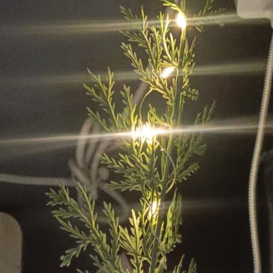 Yousheng Lighted Christmas Norfolk Pine Branches Battery Operated Pre-Lit Pine Stems Artificial Pines Needles Branches for DIY Wreaths Vase Indoor