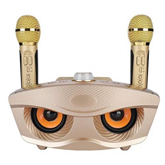 Microphone de karaoké RockJam avec câble de 3 mètres