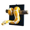 Scultura Murale Pitone Reale Arte Murale Decorativa Ornamento da Appendere a Forma di Serpente per Decorazione Casa Ufficio Soggiorno
