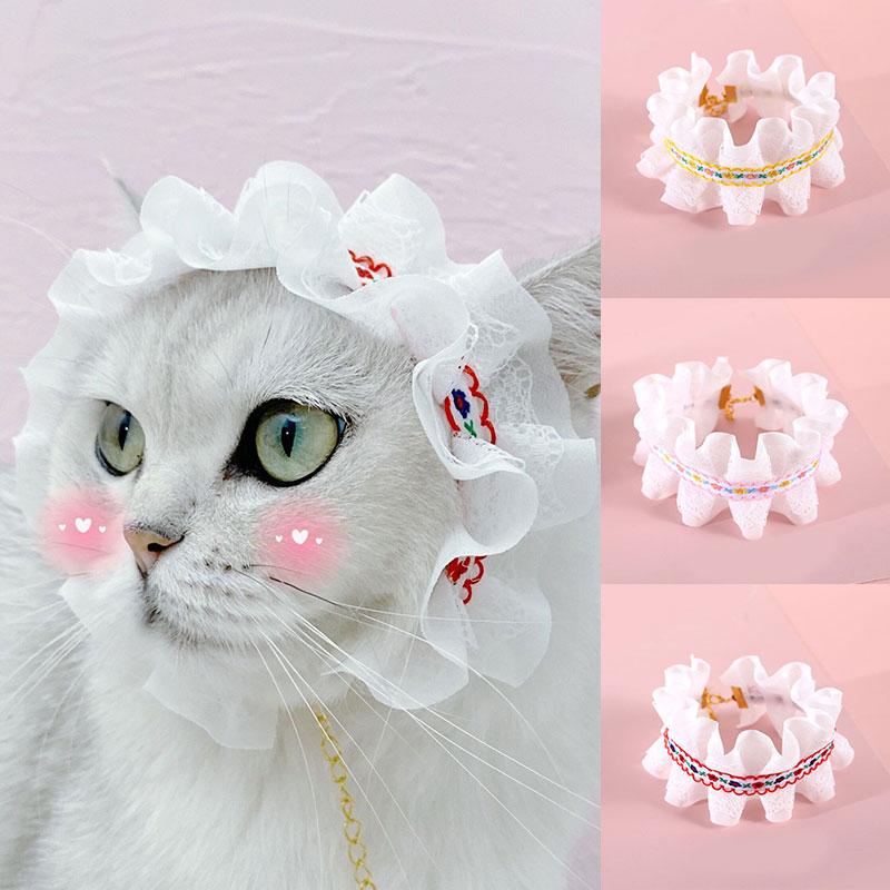 lace cat collar
