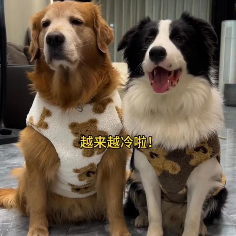 Border grazing clothes autumn and winter velvet to keep warm and prevent hair loss husky golden hair labrador large dog big dog cotton-padded clothes