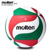 Molten Indoor Volleyballs