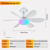 Minimalist RGB Ceiling Fan Light