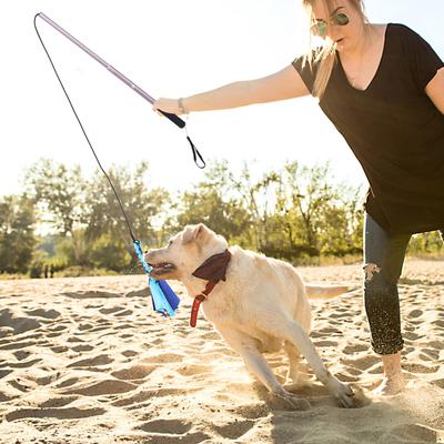 Canne à Jouets Extensible pour Chien Entraîneur Interactif à Courir Bâton pour Chiots pour le Fitness l'Obéissance le Jeu Chiot Interactif
