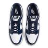 Nike Men's Dunk Casual Skate Shoes