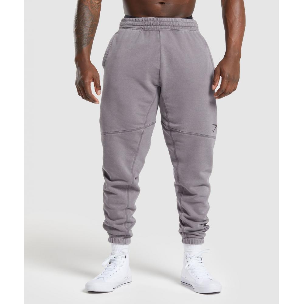 

GYMSHARK Power Washed Джоггеры Fog Purple A4A7V PBVT