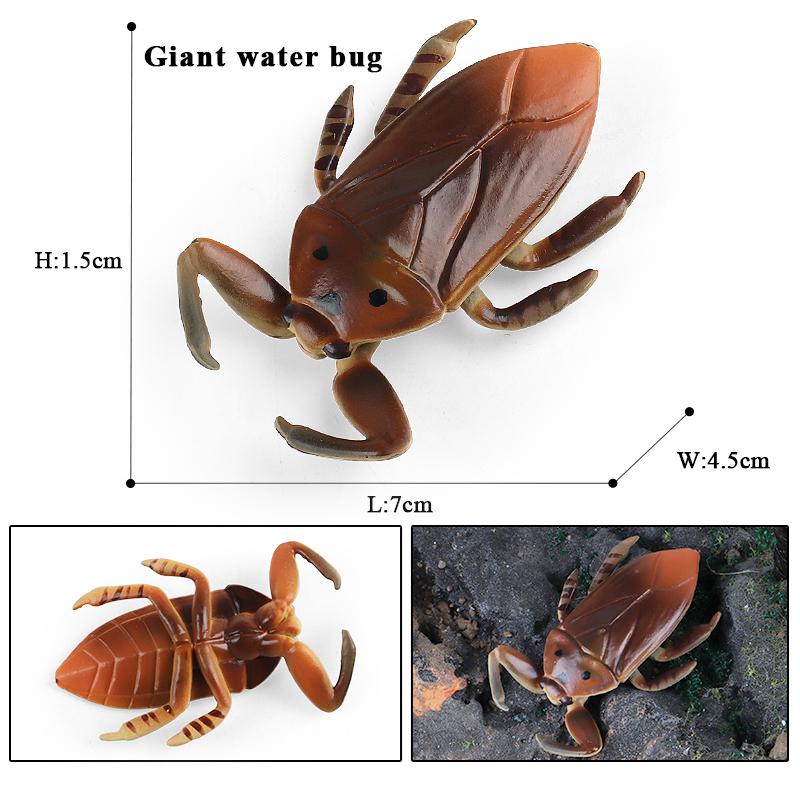 Oenux New Insect Animals Model Butterfly Bee Dragonfly Mantis Ant Snail Action Figures Jouet Collection Decor Kids Education Toy