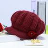 New Middle-aged and Elderly Hats Women's Winter Plush Wool Hats Mother Hats Elderly Hats Knitted Hats Wholesale