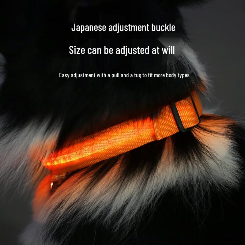 LED Luminous Pet Safety Collar