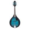 Mandolin Instrument Kit Basswood 8 String Musical Performance for Beginners Adults Teens Stone Green ME 22
