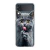 Cover per Telefono Per Samsung Galaxy Z Flip 7 6 5 4 Custodia Trasparente Per Samsung Z Flip 3 PC Rigido Pieghevole Gatto British Shorthair Carino