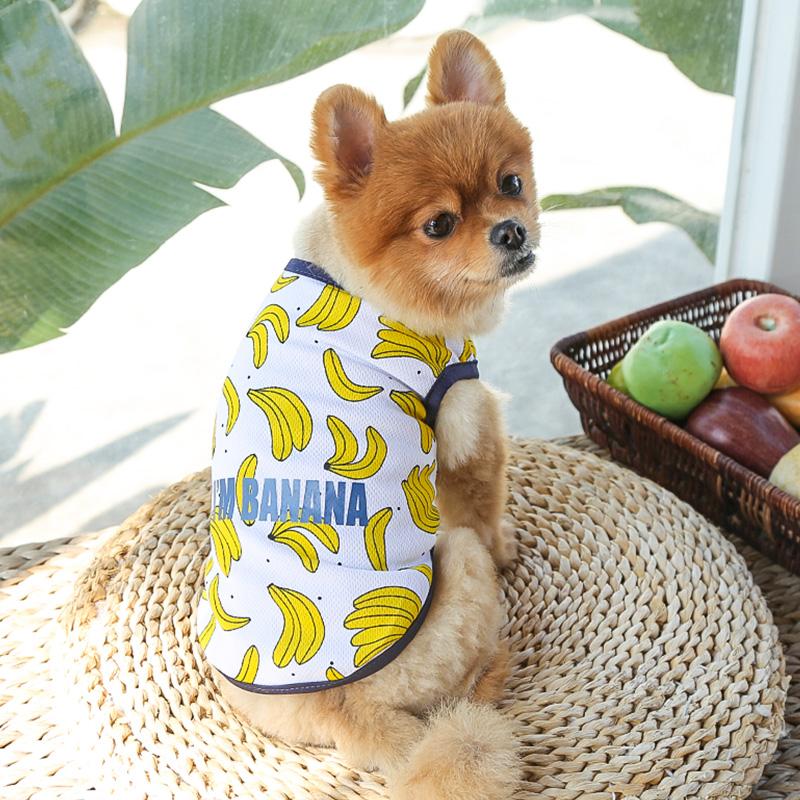 Dog Cat Puppy Kitten Pet Cartoon Spring Summer Autumn Cotton Clothes Clothing Vests Coats Jackets Shirt Dresses Costume