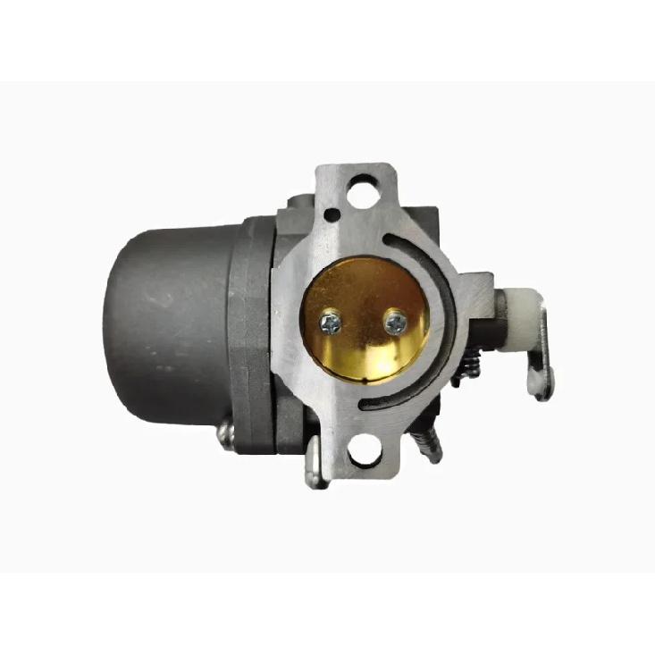 Lawn Mower Carburetor for B&S 285707 289707 28B705 28M707 Engines Replaces 494392 494502 495706 799728