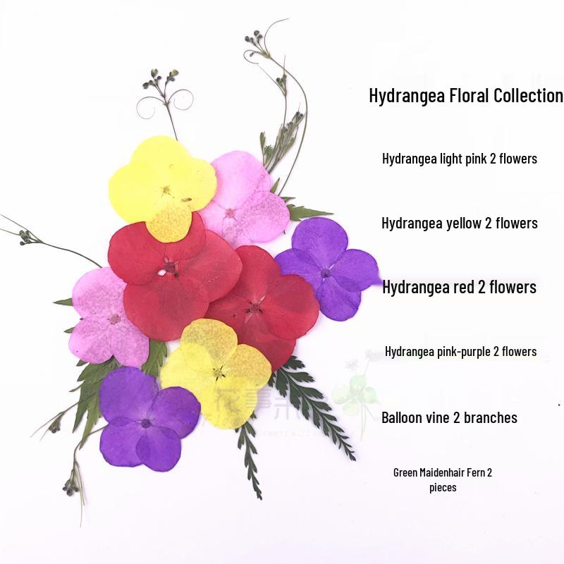 Handmade Kindergarten Collage: Real Dried Leaf and Flower Stickers for Face and Photo Decoration