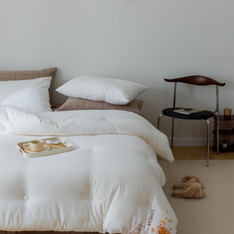 Yiyiai Soy Silk Blend Winter Comforter