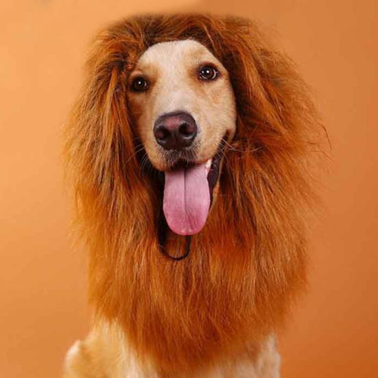 Pet Costume Funny Lion Mane Wig Headgear Hat Halloween Festival Decor for Dog
