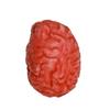 Scary Fake Halloween Body Parts Bloody Severed Arm Hand Foot Props Spoof Tricky