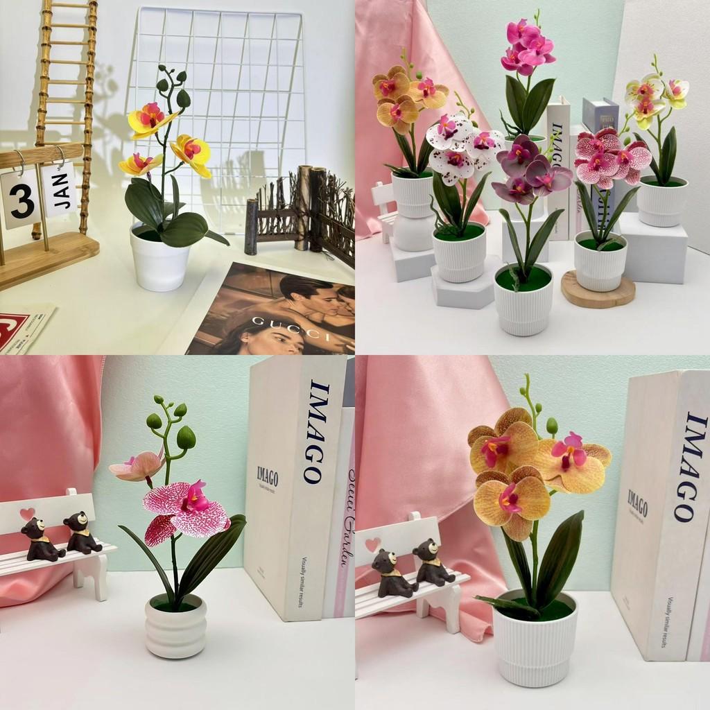 Butterfly Orchid Artificial Plant With 3d Printing For Home Decor And Photography Props