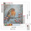 30x30cm Bird 5D DIY Full Drill Round Diamond Painting Kit for Home Wall Decor