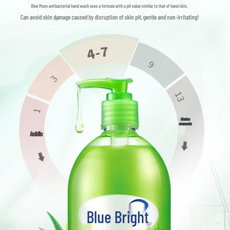 Blue Moon Aloe Antibacterial Hand Wash