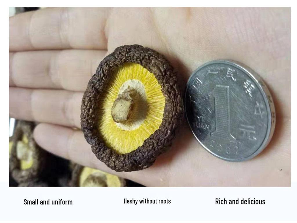 Genuine Northeast Dried Shiitake Mushroom Gift Box 500g - Fresh Edible Mushrooms from Changbai Mountain Local Specialty