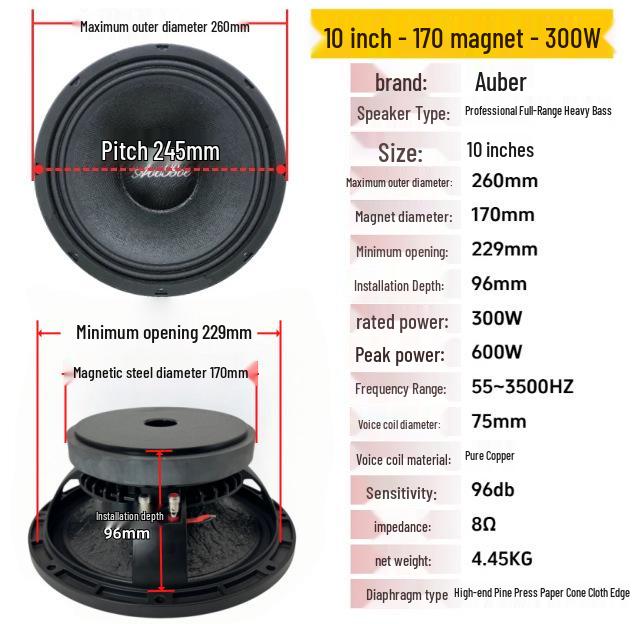 10 170 Magnet, 300W Professional Full-Range Bass Stage Speaker