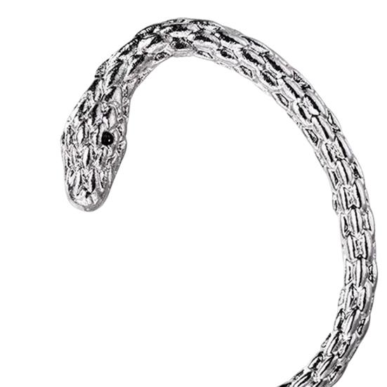 1/2 Stück Unisex-Ohrclip in Schlangenform, polierte Legierung, Retro-Hip-Hop-Stil, amerikanischer Stil, Straße, 3D-geschnitzte Schuppen, Ohrringe, Club-Party-Ohrschmuck