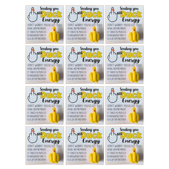Middle Finger Duck Funny Duck Lucky Charm Gift with Encouraging Card Sending You Big Duck Energy Ornament Inspirational Gift for Friends Family