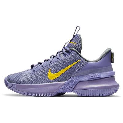 LeBron Ambassador 13 EP CQ9329-500