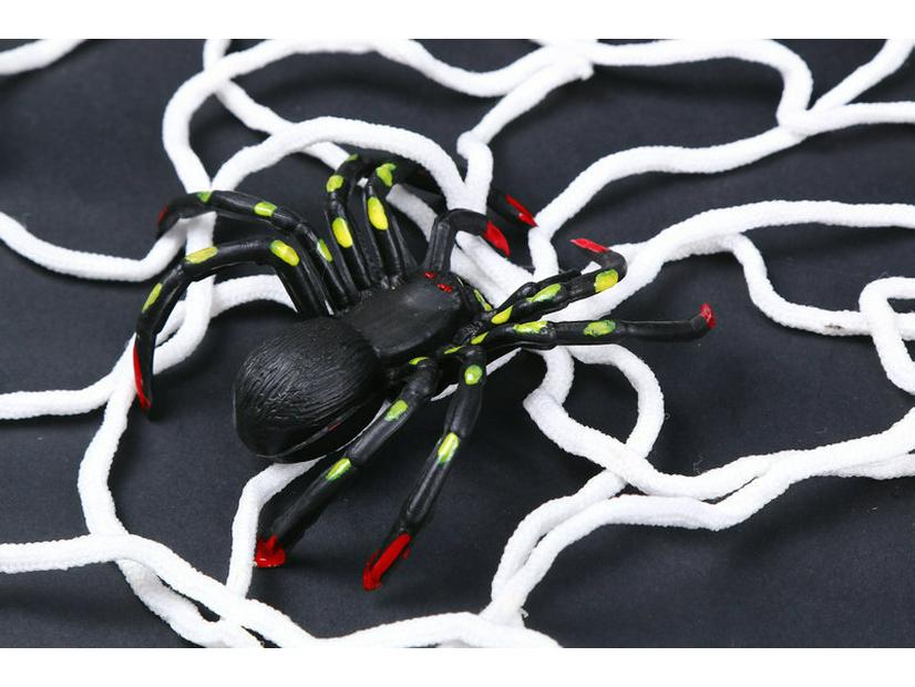 1.5m Black & White Cobweb Halloween Decoration with Spider