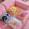 Singer S-Sia Crisp Band Pillow Case Silky Short Plush With Invisible Zipper Dustproof Sofa Cushion Cover