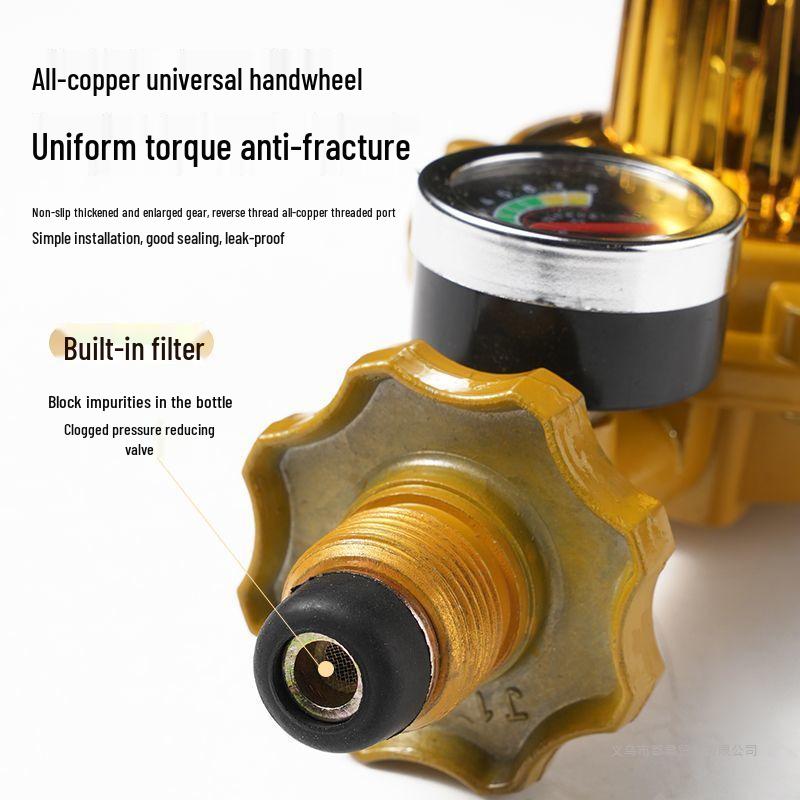 1.2 Gas Stove Low-Pressure Explosion-Proof Water Heater Valve with Ten-Speed Pressure Reducer and Gauge