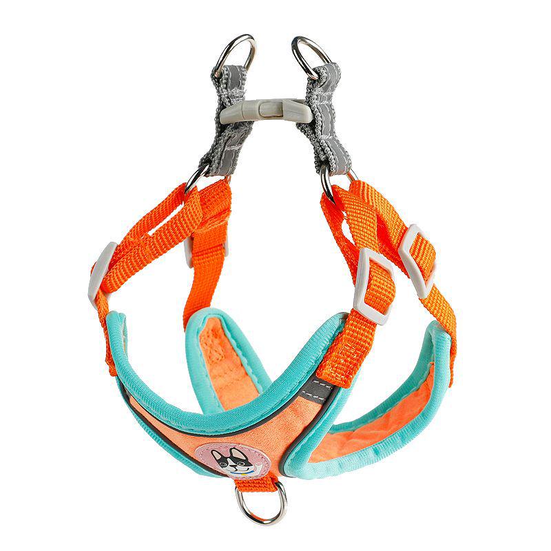 Reflective Vest-Style Harness with Leash for Small Dogs