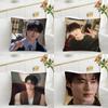Korean Actors Byeon Wooseok Pillow Case Fashion Square Pillowcase Bedroom Sofa Room Ins Decoration Leisure