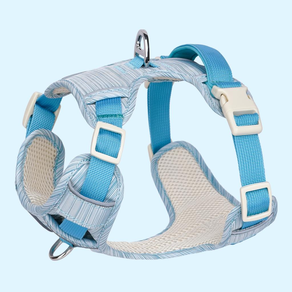 HP302--Miękka uprząż dla psa z wytrzymałej tkaniny oxford i oddychającej siateczki wewnątrz, Projekt w świeżych kolorach.