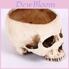 Premium Resin Human Skull Head Design Flower Pot Planter For Unique Home Decor