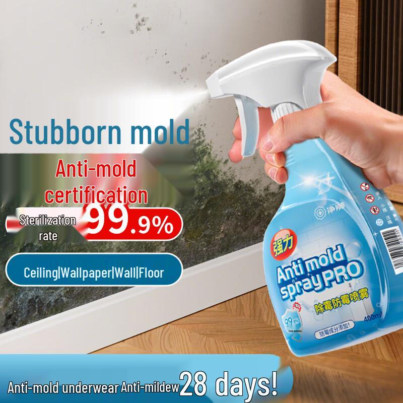 Jingshi Wall Mold Remover Spray