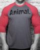 "Beast Fitness Herren Raglan Kurzarm Bodybuilding Shirt - Europäische und Amerikanische Große Größen"