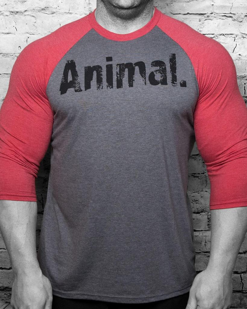 "Beast Fitness Herren Raglan Kurzarm Bodybuilding Shirt - Europäische und Amerikanische Große Größen"