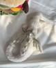 30cm Soft Plush Toy Little Dragon Plush Toys White Green Dinosaur Stuffed Animal Soft Doll Birthday Gift for Children