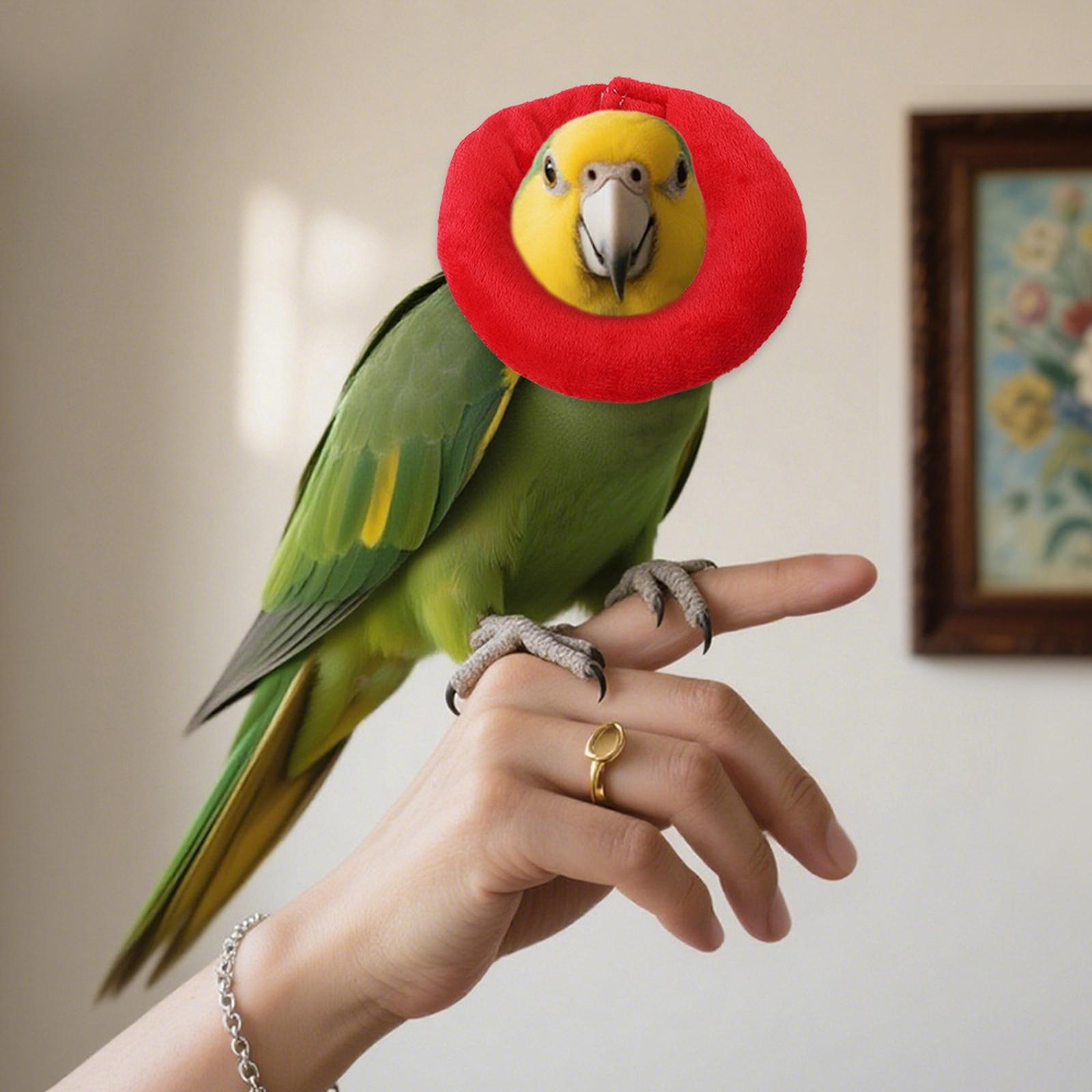 

Adjustable Elizabeth Collar for Small -Lick - Recovery Collar for Bird Hamster Guinea Pig M красный