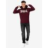 Lonsdale Wolterton Hoodie