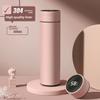 Smart Temperature Display Insulated Travel Mug With Tea Strainer For Office Use
