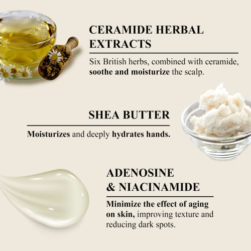 TEABLESS Green Forest Matcha Hand Cream, 50g (3-pack) - Refreshing Patchouli and Matcha Scent, Highly Moisturizing, Refreshing, Gift [Official]