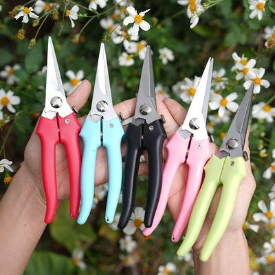 Stainless Steel Straight Garden & Flower Tools: Multi-Color Scissors for Pruning, Arranging, Branch Cutting & Household Grafting