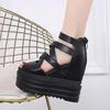 Fashion 13CM Summer Thick High Heels Sandals for Women Black Punk Platform Gladiator Shoes Fashion Zipper Peep Toe Women Pumps Trend