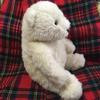 [USED] White Teddy Bear - Polar Bear Plush Toy by MON SEUIL