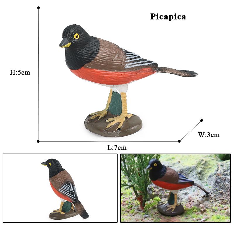 Oenux Forest Bird Animals Wild Ostrich Magpie Owl Crow Flamingos Figurines Action Figure PVC Garden Decoration Miniature Kid Toy