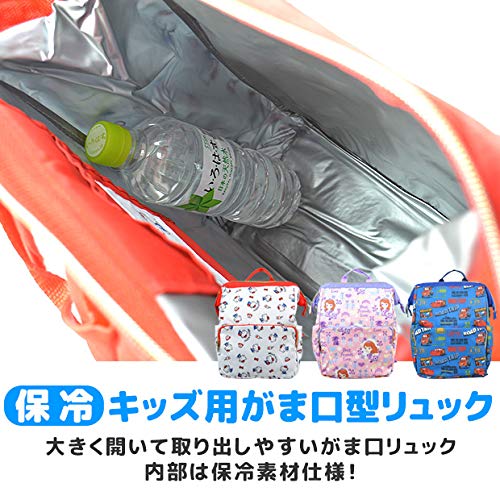 Skater Cars RYUG1 Children's Backpack with Clasp Closure and Insulated Closure